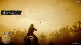 Study/kill 25 Carolina parakeet in 1 row - Red Dead Redemption2