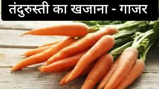 Benefits of carrots in weight loss and hair care journey|Dr Gargi Kaul|