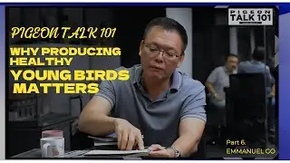 Part 6: Manny Go | Why Producing Healthy Young Birds Matters