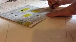 Wing pattern