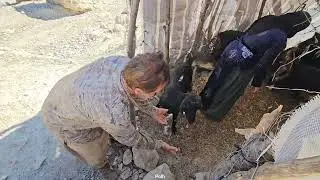 Real nomad life; baking hot bread | watering trees in the heart of the mountain