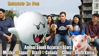 What Sounds do Animals Make in Other Languages? Japanese, Korean, Spanish, Portuguese, Chinese