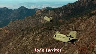 Lone Survivor: Special forces support. Hold on and survive