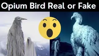 Opium Bird Real or Fake | Opium Bird Original Video | Opium Bird Real video | Opium Bird Kya Hai