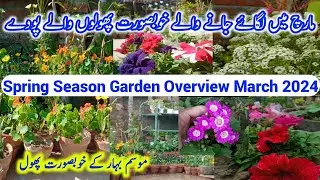 Spring Season Garden Overview March 2024|New Winter Flowers Update||Spring Garden Overview