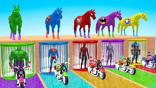 Long Slide Game With Cow Elephant Gorilla Hippopotamus Tiger 3d Animal Game Funny 3d Animals