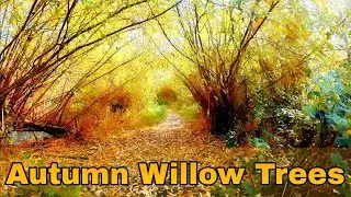 Autumn Tree Colours #Fall #autumnal #mindfulness #forestbathing #SE25