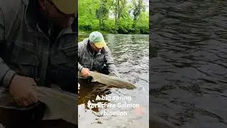 A big spring Yorkshire salmon from 2021 #atlanticsalmon #flyfishing #wildlife #memories #bucketlist