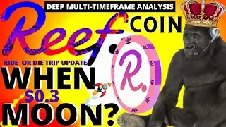 REEF COIN PRICE PREDICTION UPDATE(Multi-Timeframe) with Bitcoin Gorilla