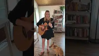 Day 20/21 - Sister Moon album #youtubeshorts #songwriter #folkmusic #dogs #music