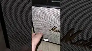 Marshall Woburn 3 пищалки отключаются