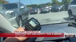 Practice Hot Car Safety