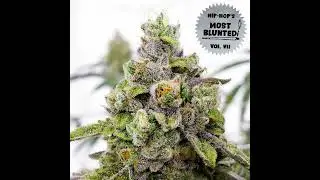 20 Jorun Bombay   Smoke Somethin Remix