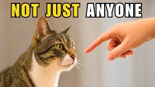 When Your Cat Lets You Do THIS&hellip; It Means They Truly Trust You 😻