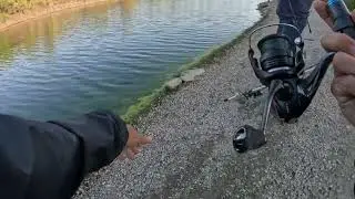 Giant #largemouthbass peeled drag and straightened my hook #socalfishing #catchandrelease #dontask