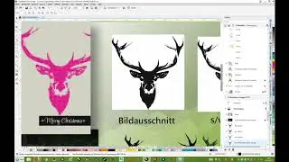 Bildelemente von Fotos in Vektorgrafik umwandeln mit CorelDRAW