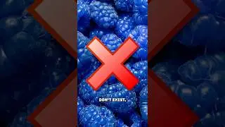 BLUE RASPBERRIES DO NOT EXIST!