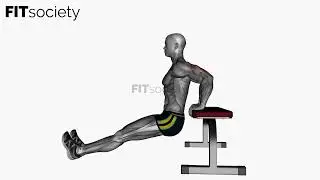 Bench Triceps Dip Straight Legs - Exercise - Fitness Oefening - Fitsociety