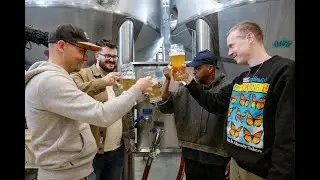 Omnipollo X Budvar - Triple Saaz: Behind the Brew