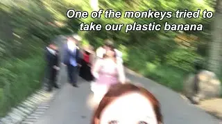 We Bought A Zoo | Prom Vlog