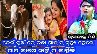 ଗାଇକୁ ପ୍ରକୃତ ରେ କେଉଁ ଦୁଆଁରେ ବାନ୍ଧିବା ଉଚିତ୍ // ପାପ ଲାଗେ ନାହିଁ #Ramakanta bisi // sonal sambalpuri 