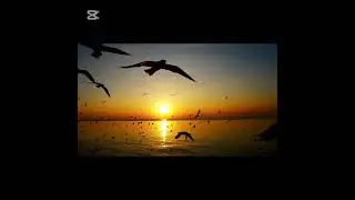 Atomic Habits - 1st Chapter (Tamil).  #books #audiobook #tamil #learning #shorts