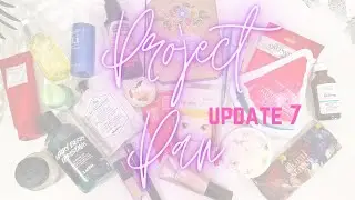 Project Pan 2023 | Update 7 #TeamProjectPan23