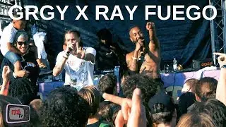 GRGY X RAY FUEGO: SMIB X TNO 2019 [AMSTERDAM]