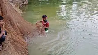 amazing net fishing videos