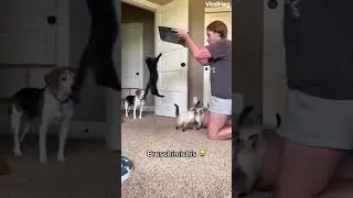 BRUSCHIMICHIS 38 - #shorts