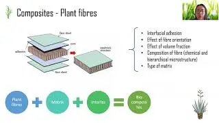 Composite materials - plant fibers as reinforcement