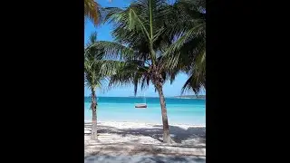 Island Therapy