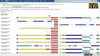 Changing the Compare Region Viewer to show genome or feature groups.