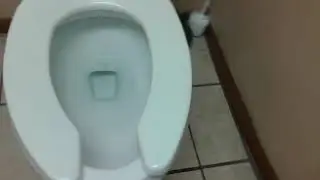 302. A Glacier Bay Toilet At Exxon Gas Station