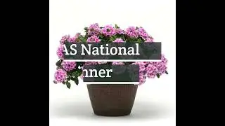 AAS Winners: Must-Have Pink Flowers for Every Garden