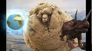 Covey the Sheep Game 8