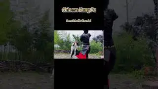 Rainy sword clash! #kungfu #battle #wushufight #martialarts #funn #movie #film #action #fpy #music