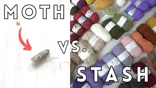 Yarn vs. Clothes Moths: Destash Disaster 😱🧶