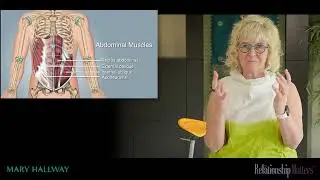 Foundations of Upper Extremity Movement  -  Abdominal muscles and shoulder girdle alignment