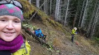 The 