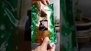 DXN Spica Tea
