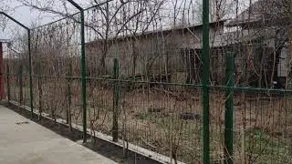2021 Conduratu C1 Tăierea viței-de-vie &icirc;n boltă - introducere