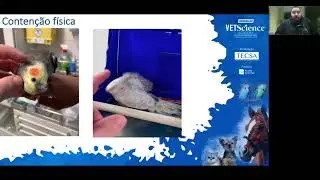 Semiologia e exame clínico de aves | Dr. Marcel Lucena