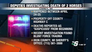 Deputies investigate &lsquo;intentional&rsquo; deaths of horses in Iron County, Wisconsin