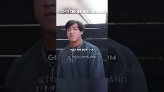 TOGI Takes an IQ Test