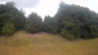 FPV MINI QUAD RACING - FPV Bambi -