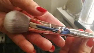 Makeup Brush Set Review/Wet N Wild