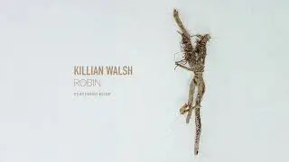 Killian Walsh feat. Elise SW - Robin