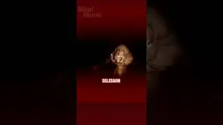 Alur Cerita Game Horror Dolls