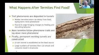 Revolutionize Termite Structural Protection with HydroTrail&trade; &ndash; Exclusive Webinar